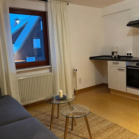 Apartment Schlesierweg-apartments Braunlage