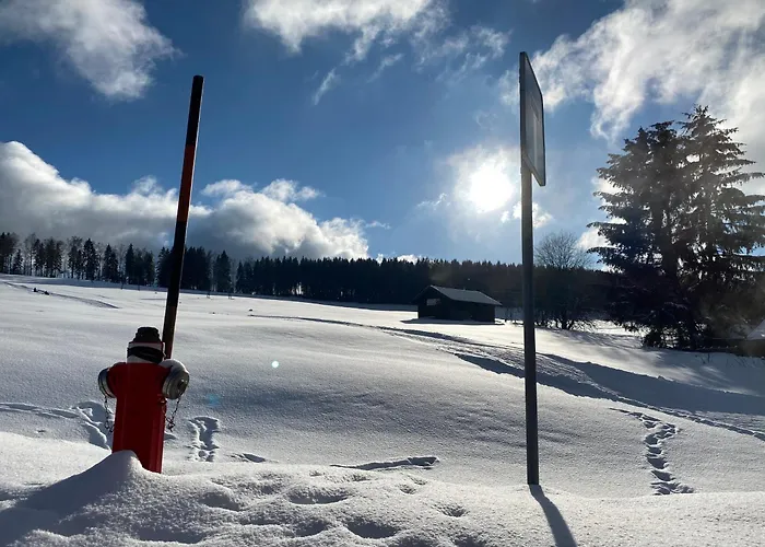 Schlesierweg-apartments Апартаменты